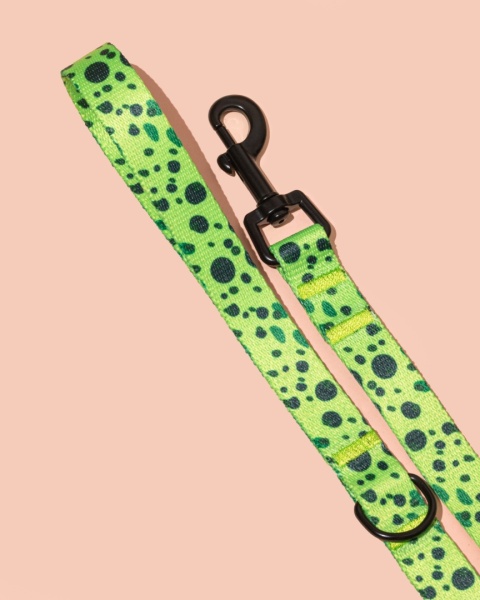 Smycz spacerowa PawMint