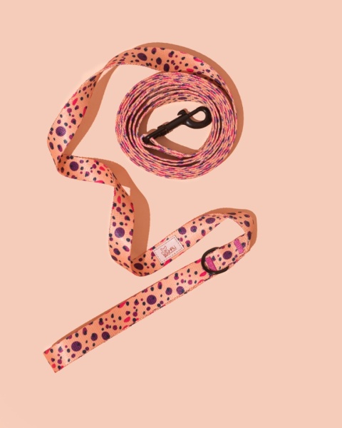 Smycz spacerowa PawPlum