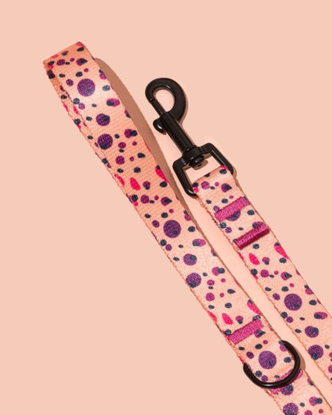 Smycz spacerowa PawPlum