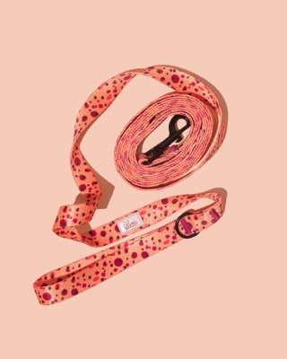 Smycz spacerowa PawTangerine