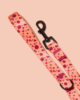 Smycz spacerowa PawTangerine