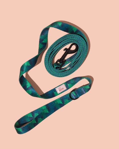 Smycz spacerowa PupsFern