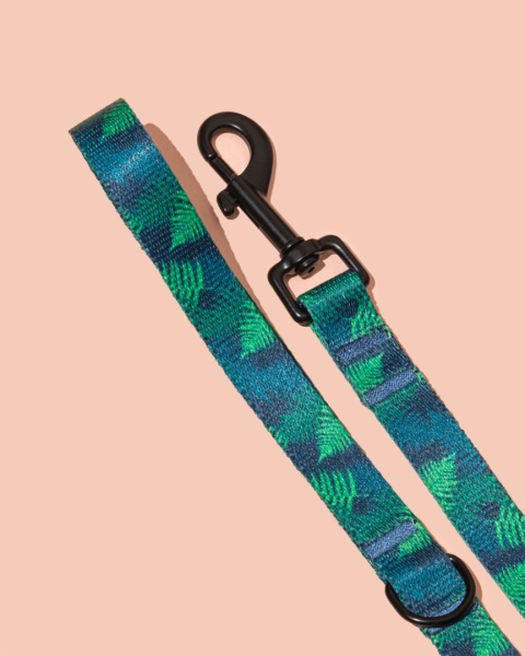 Smycz spacerowa PupsFern