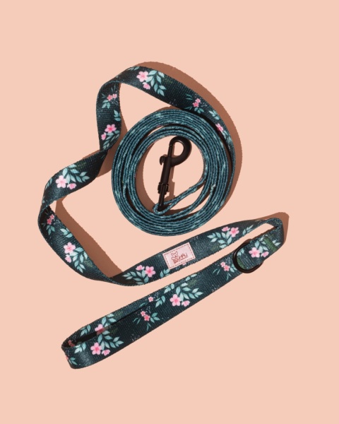 Smycz spacerowa PupsyBlush