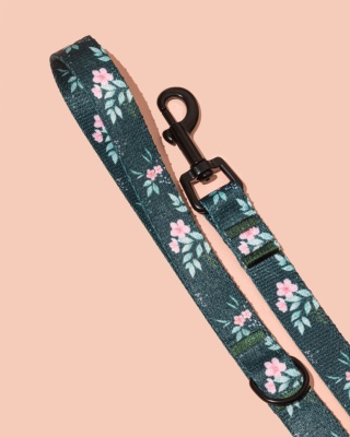 Smycz spacerowa PupsyBlush