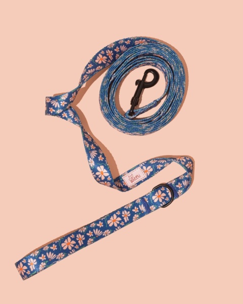 Smycz spacerowa PupsyFlora