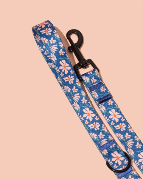 Smycz spacerowa PupsyFlora