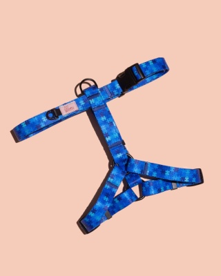 Szelki guard HauBlue