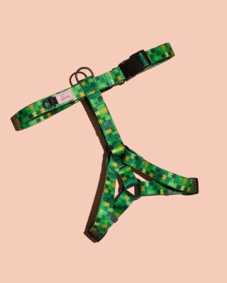 Szelki guard HauGreen