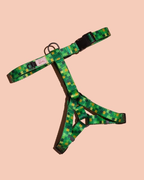 Szelki guard HauGreen