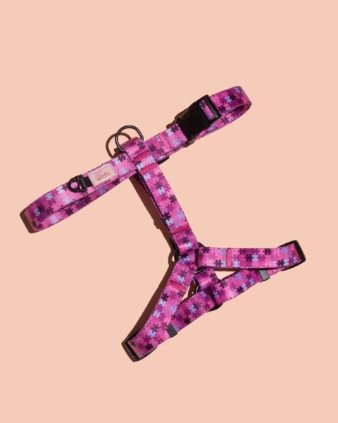 Szelki guard HauPink