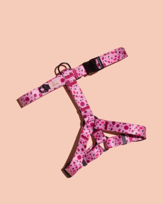 Szelki guard PawBerry