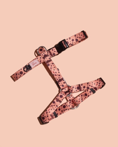 Szelki guard PawCocoa