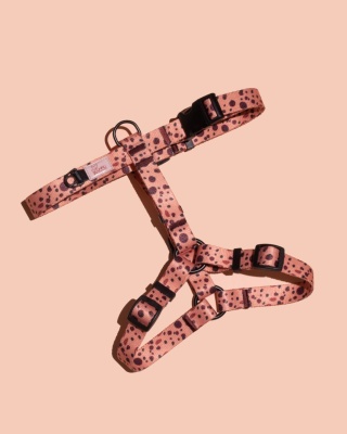 Szelki guard PawCocoa