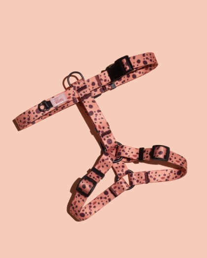 Szelki guard PawCocoa