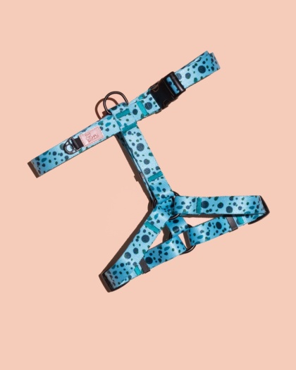 Szelki guard PawLagoon