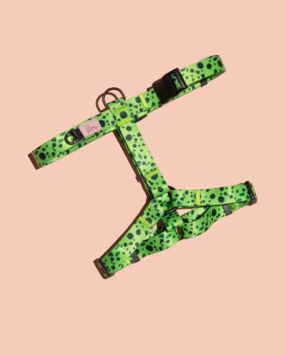 Szelki guard PawMint