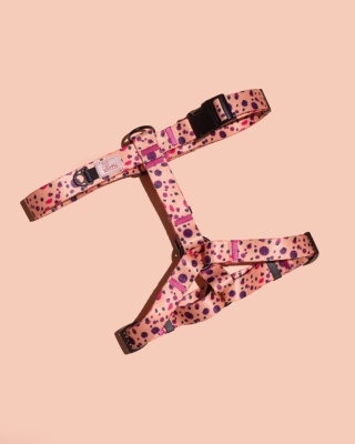 Szelki guard PawPlum