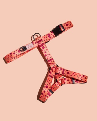 Szelki guard PawTangerine