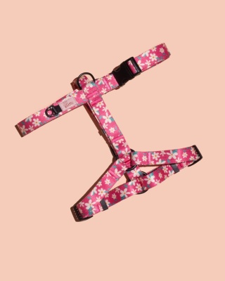 Szelki guard PupsyBlossom