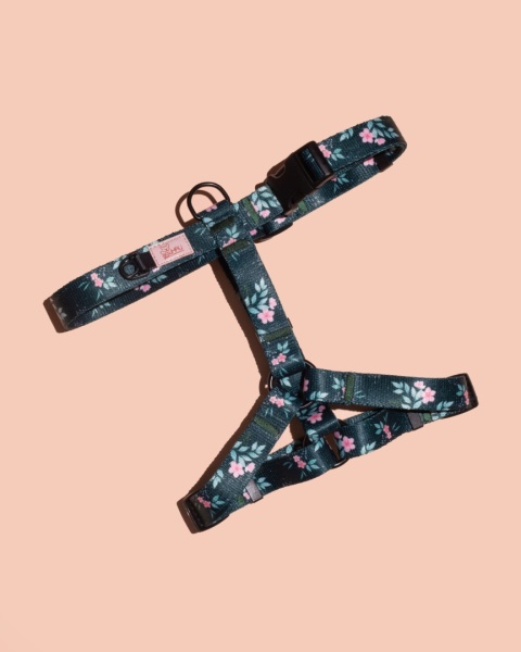 Szelki guard PupsyBlush