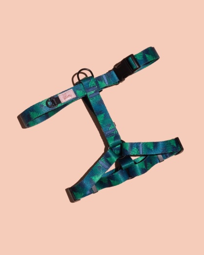 Szelki guard PupsyFern