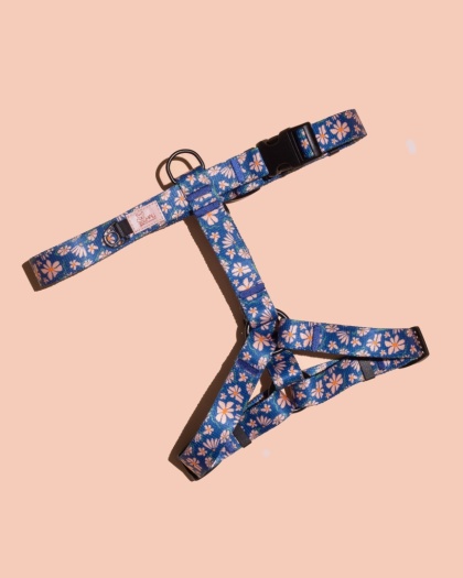 Szelki guard PupsyFlora