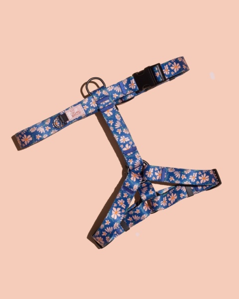 Szelki guard PupsyFlora