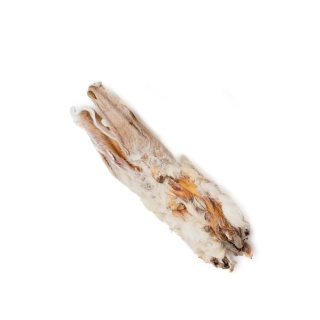 Ucho królicze z futrem 2 szt